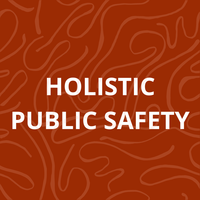 Holistic Public Safety